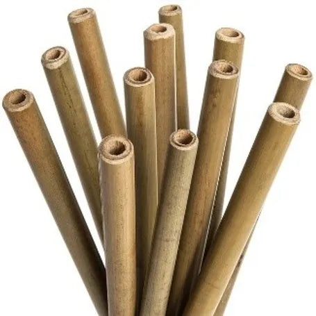 Pitillos de Bambú productos ecológicos colombia Izana Naturals