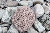 ¿Sabías que la piedra pómez tiene la capacidad de revivir los arrecifes de coral?