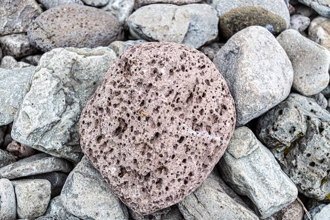 ¿Sabías que la piedra pómez tiene la capacidad de revivir los arrecifes de coral?
