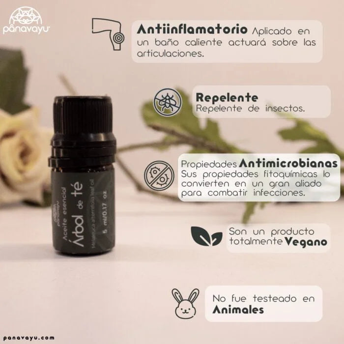 Aceite Esencial Árbol de Té