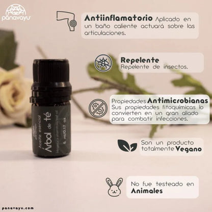 Aceite Esencial Árbol de Té